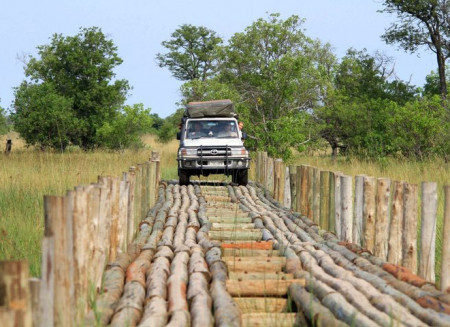 Botswana Footprints - Bridge